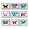 Butterfly Bundle (9 Pack)