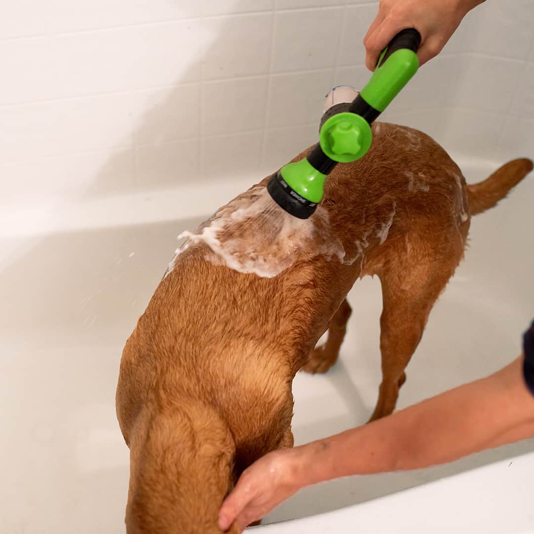 The Pup Jet | Dog Washer Attachment